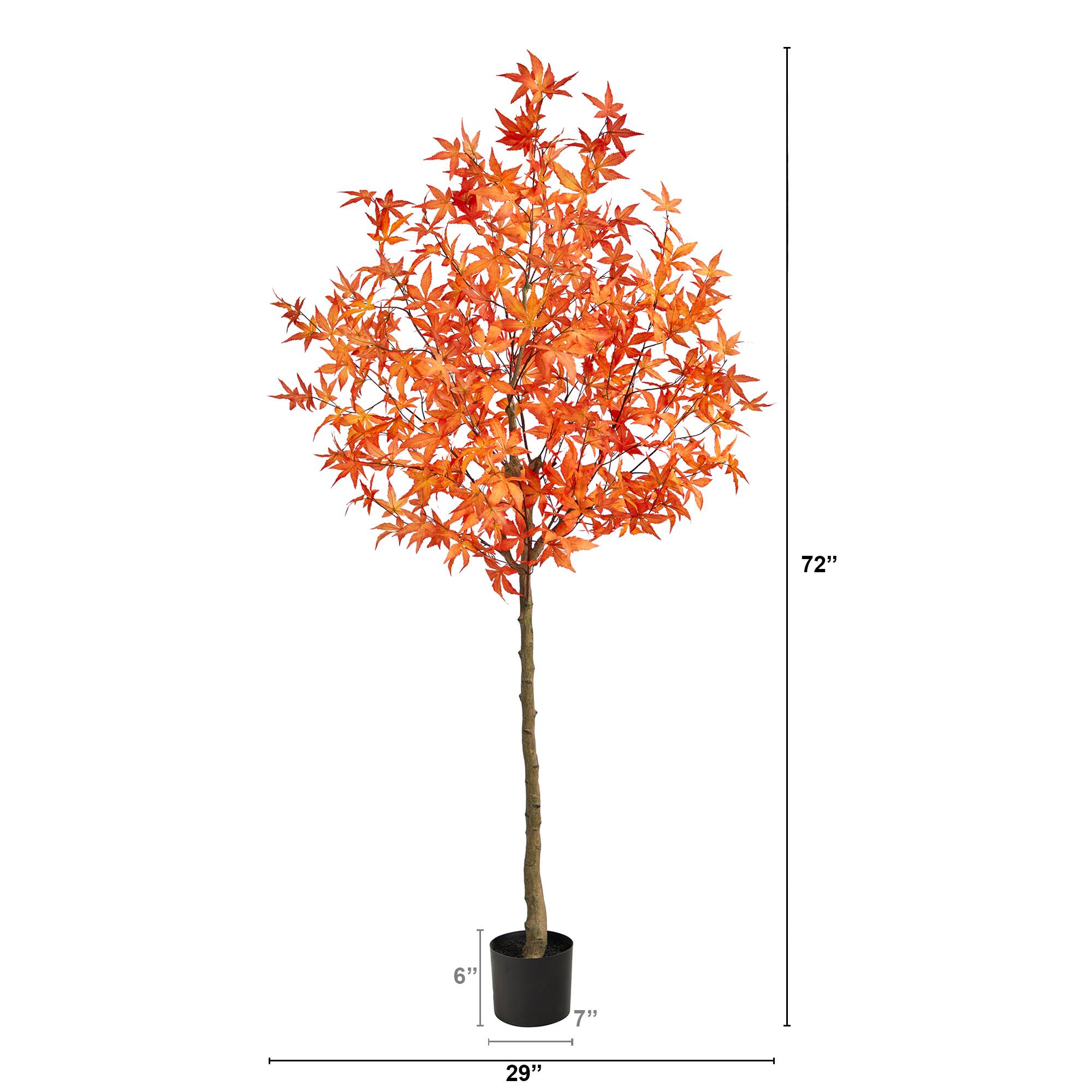 6ft. Potted Orange Autumn Maple Tree